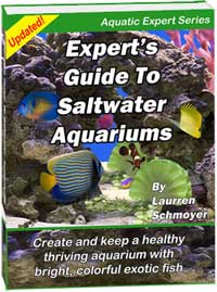 Saltwater and Marine Aquarium Guide